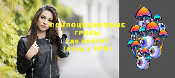 a pvp Володарск