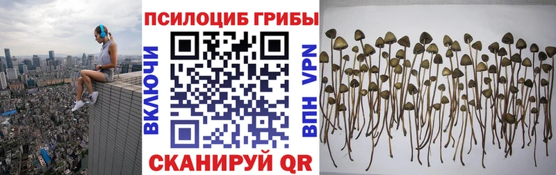 Псилоцибиновые грибы GOLDEN TEACHER  Заволжск 